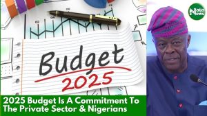 2025 Budget Is A Commitment To The Private Sector – Wale Edun