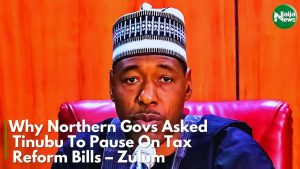 VIDEO: Why Northern Governors Asked Tinubu To Pause Tax Reform Bills – Zulum