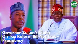 Zulum’s Claim On Tax Reform Bills Not True – Presidency