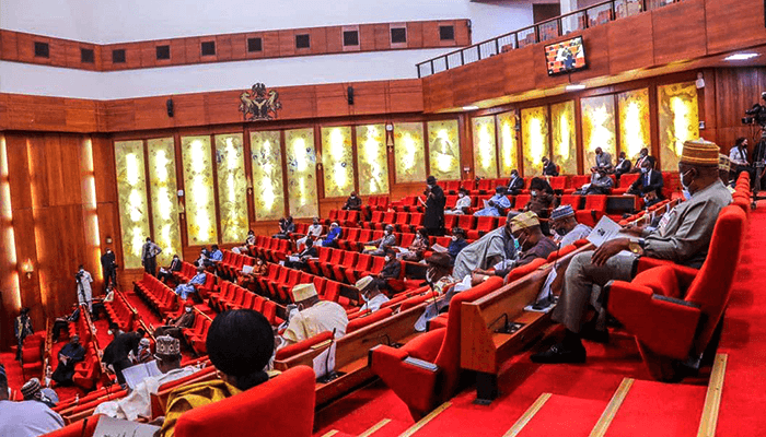 Senate declares Edo central seat vacant