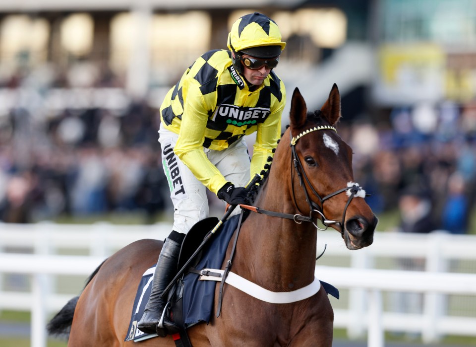 Nicky Henderson expected to send Sir Gino over fences at Kempton leaving path clear for Constitution Hill return